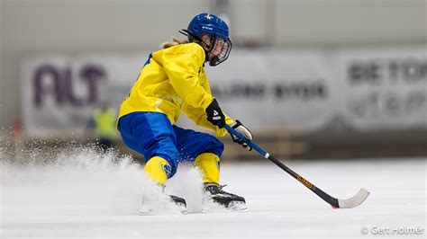 bandy diretta streaming|Bandyplay.